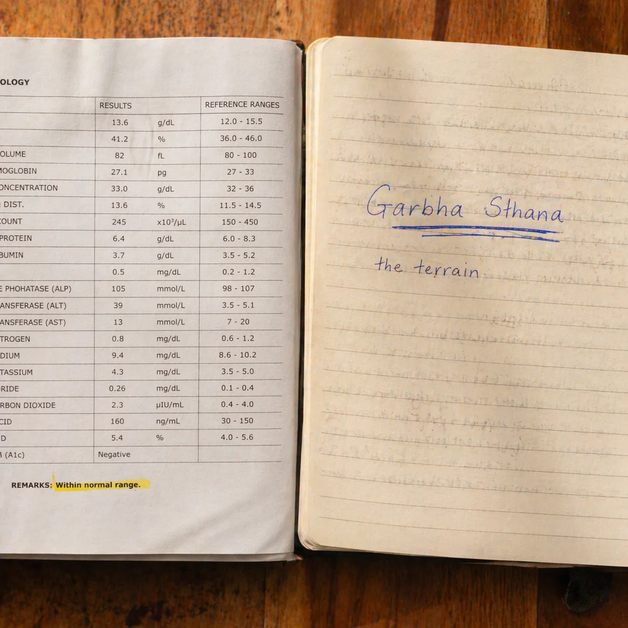 Two notebooks side by side -- a Western medical chart on the left, a diary with GARBHA STHANA written large on the right