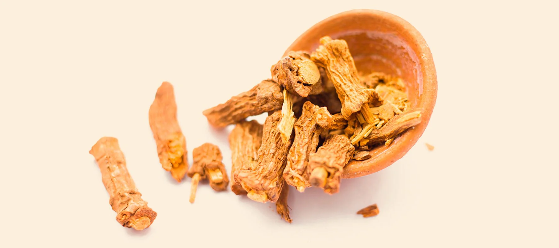 Sarsaparilla_Naturalpedia_1800x800_v1